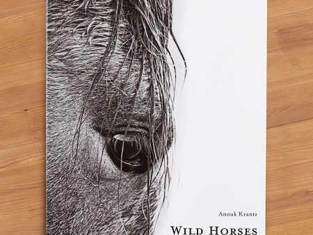 Wild Horses of Cumberland Island  by Anouk Krantz Online Sale