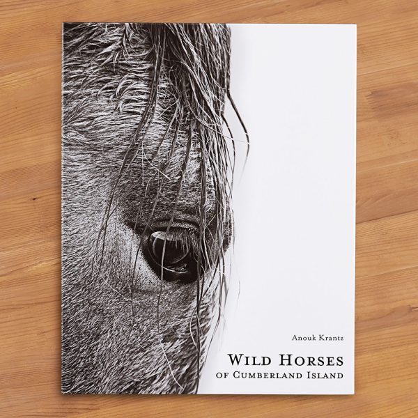 Wild Horses of Cumberland Island  by Anouk Krantz Online Sale