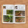 Waterfalls of Michigan, Book 4 - West  Guidebook by Phil Stagg For Discount