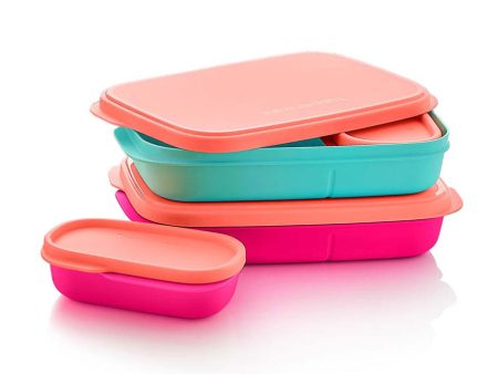 Slim Lunch Containers For Discount