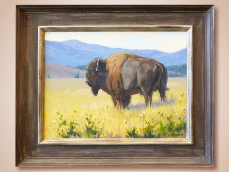 The Plainsman  Original Oil Painting by Tiffany Stevenson Online Hot Sale