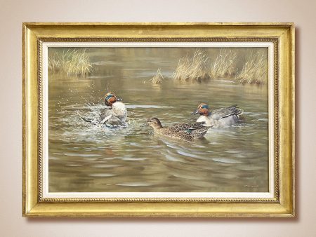 Greenwing Teal  Original Painting by William Hollywood Online Hot Sale