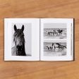 Wild Horses of Cumberland Island  by Anouk Krantz Online Sale