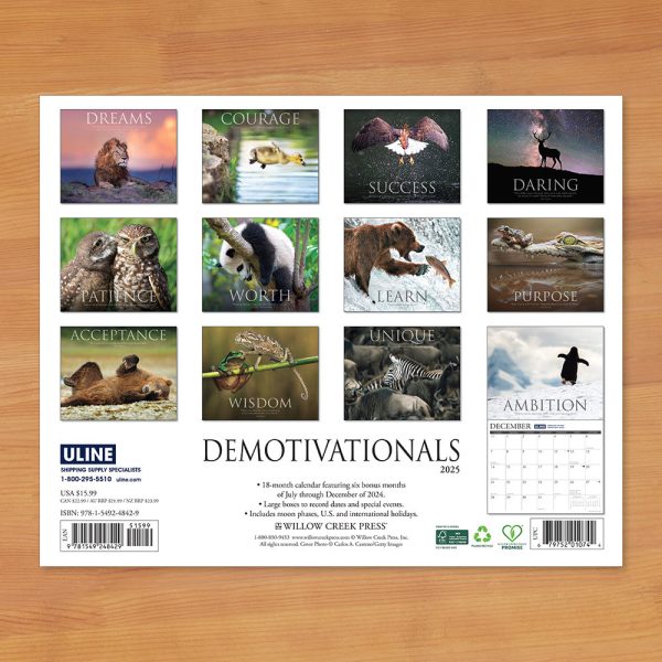 2025 Wall Calendar, Demotivationals Supply