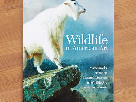 Wildlife in American Art: Masterworks from the National Museum of Wildlife Art  by Adam Duncan Harris Sale