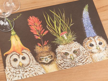 Hester & Cook Paper Placemats, Baby Owls Supply