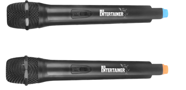 Mr Entertainer WY60D Dual Wireless Microphone System Cheap