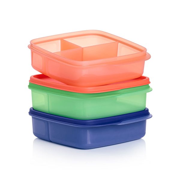 Eco+ Lunch-It® Containers (set of 3) Fashion