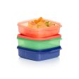 Eco+ Lunch-It® Containers (set of 3) Fashion