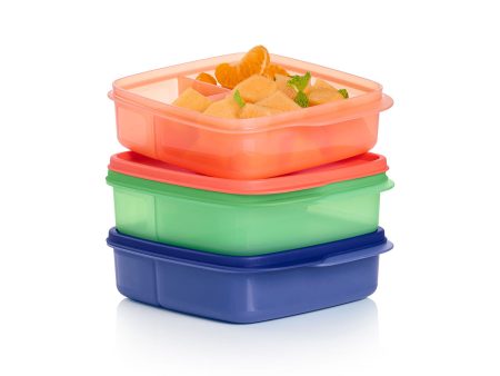 Eco+ Lunch-It® Containers (set of 3) Fashion