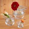 Water Droplet Glass Bud Vase on Sale