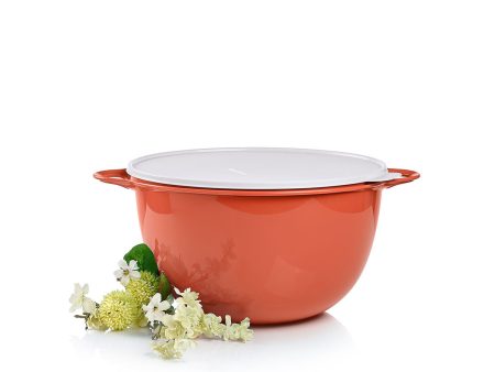 Thatsa® Mega Bowl For Cheap