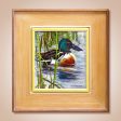 Northern Shoveler  Original Oil Painting by Carol Guzman Online