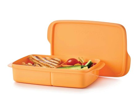 Eco+ Lunch-It® Large Container Discount